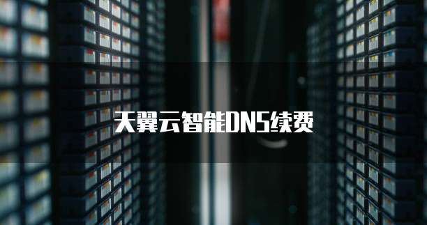 天翼云智能DNS续费