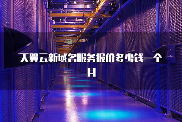 天翼云新域名服务报价多少钱一个月