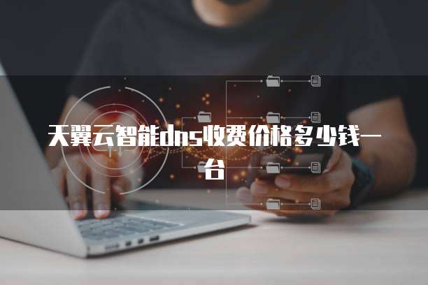 天翼云智能dns收费价格多少钱一台
