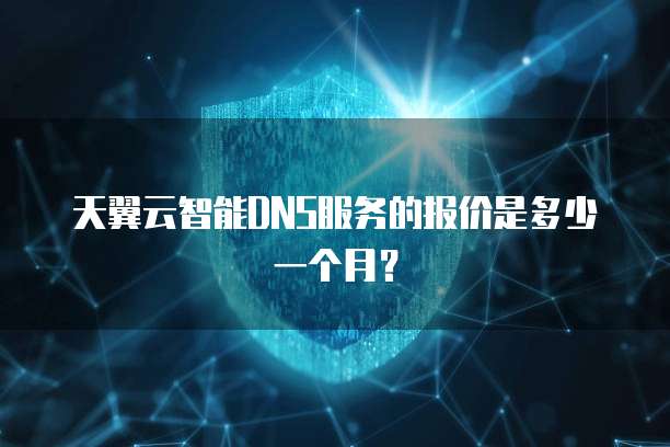 天翼云智能DNS服务的报价是多少一个月？