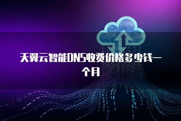 天翼云智能DNS收费价格多少钱一个月