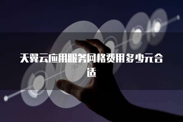 天翼云应用服务网格费用多少元合适