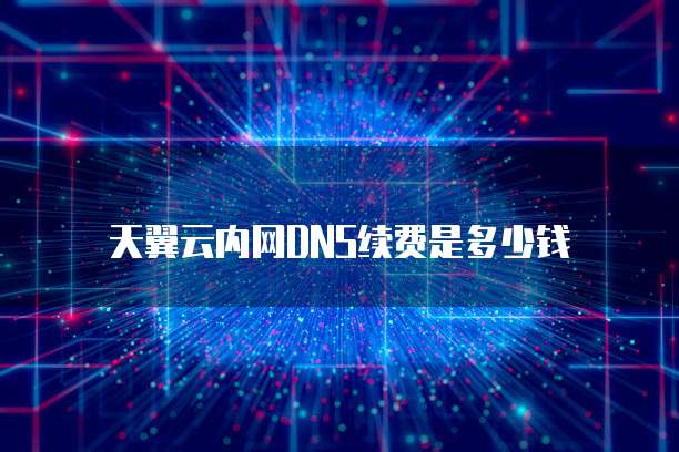 天翼云内网DNS续费是多少钱