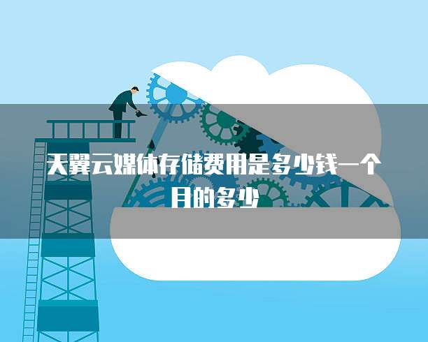天翼云媒体存储费用是多少钱一个月的多少