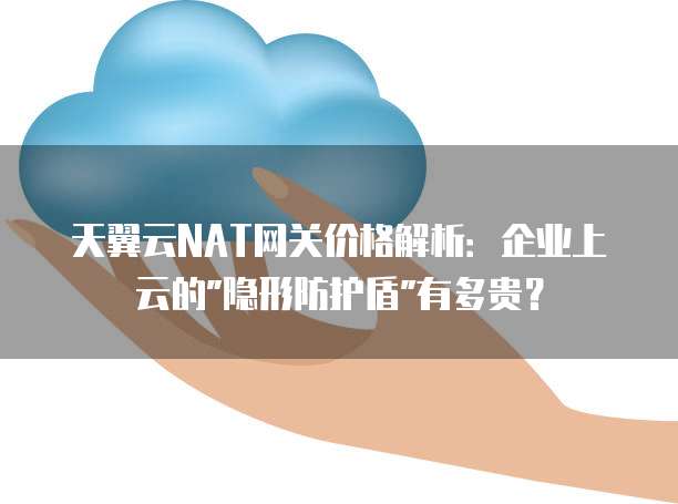 天翼云NAT网关价格解析:企业上云的