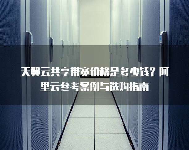 天翼云共享带宽价格是多少钱？阿里云参考案例与选购指南
