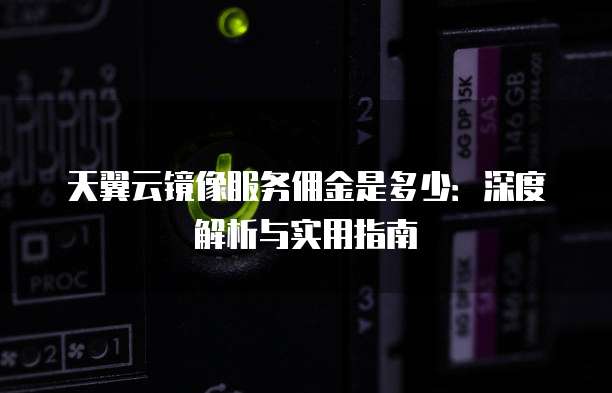 天翼云镜像服务佣金是多少：深度解析与实用指南
