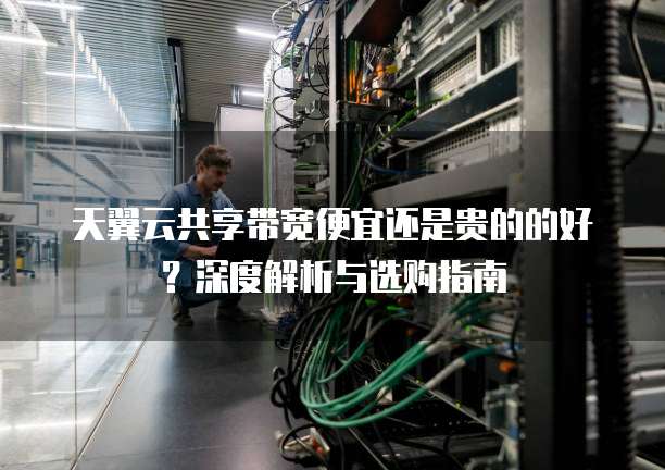 天翼云共享带宽便宜还是贵的的好?深度解析与选购指南