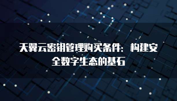 天翼云密钥管理购买条件:构建安全数字生态的基石
