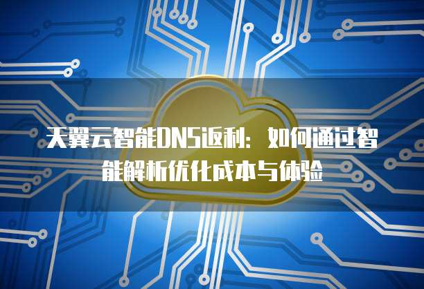 天翼云智能DNS返利:如何通过智能解析优化成本与体验