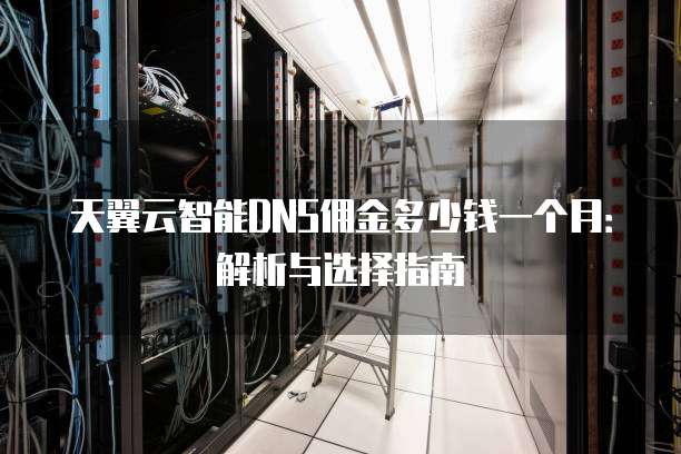 天翼云智能DNS佣金多少钱一个月:解析与选择指南