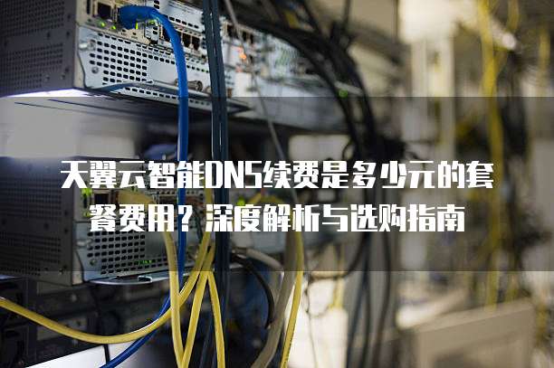 天翼云智能DNS续费是多少元的套餐费用?深度解析与选购指南