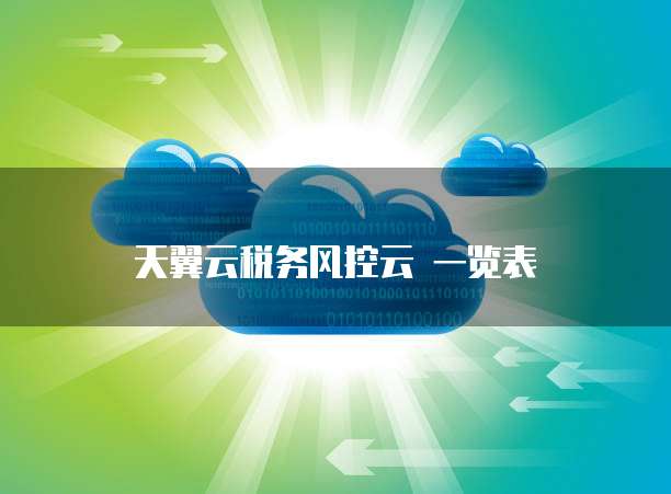 天翼云税务风控云 一览表