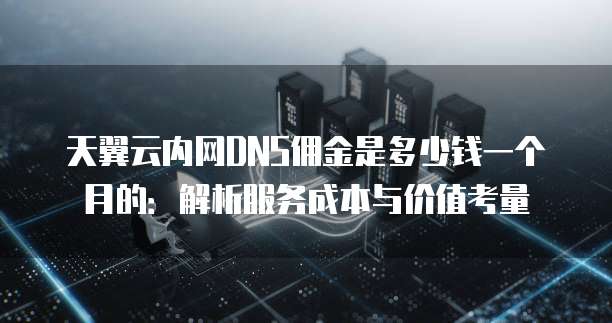 天翼云内网DNS佣金是多少钱一个月的：解析服务成本与价值考量