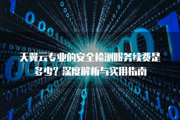 天翼云专业的安全检测服务续费是多少?深度解析与实用指南