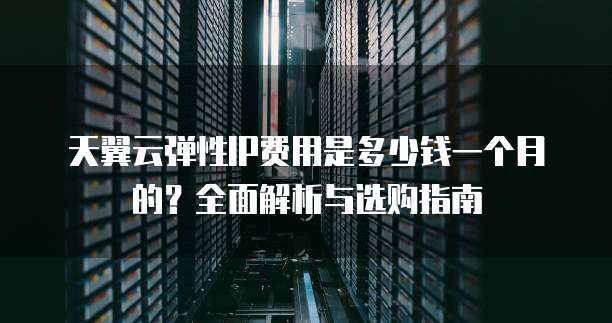 天翼云弹性IP费用是多少钱一个月的?全面解析与选购指南