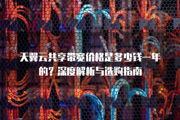 天翼云共享带宽价格是多少钱一年的?深度解析与选购指南
