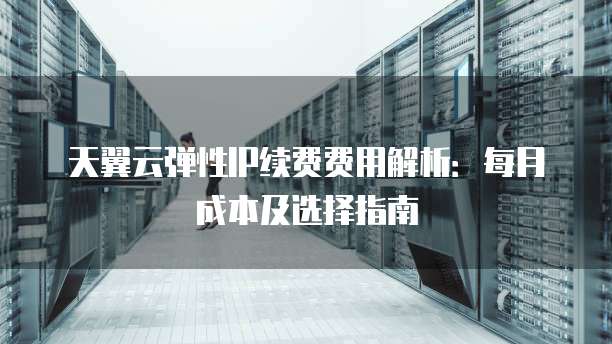 天翼云弹性IP续费费用解析:每月成本及选择指南