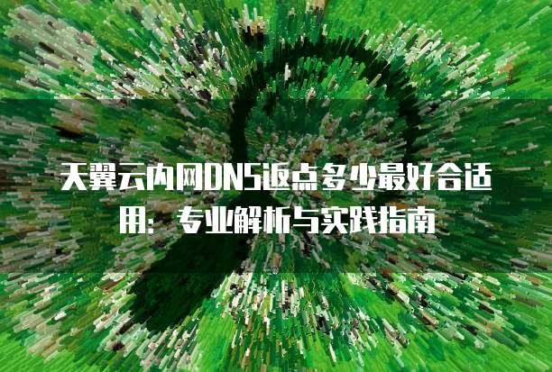 天翼云内网DNS返点多少最好合适用：专业解析与实践指南