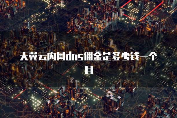 天翼云内网dns佣金是多少钱一个月