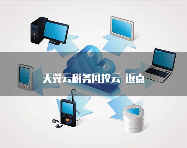 天翼云税务风控云 返点