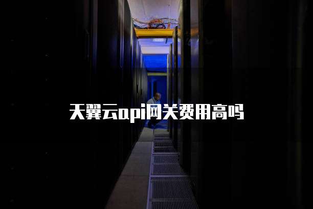 天翼云api网关费用高吗