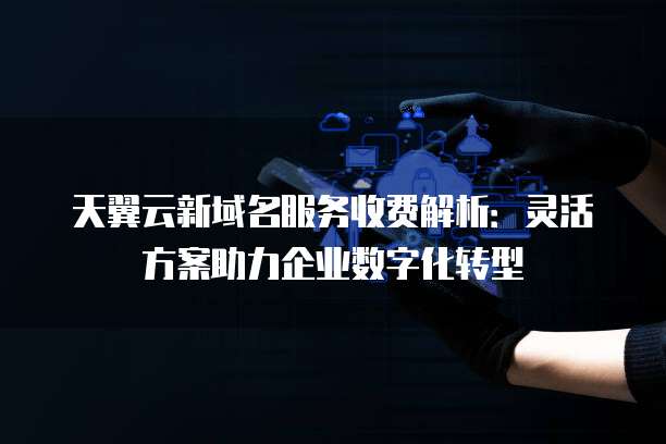天翼云新域名服务收费解析：灵活方案助力企业数字化转型
