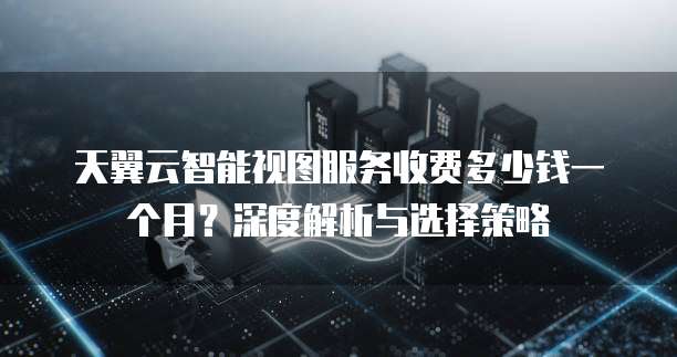天翼云智能视图服务收费多少钱一个月?深度解析与选择策略