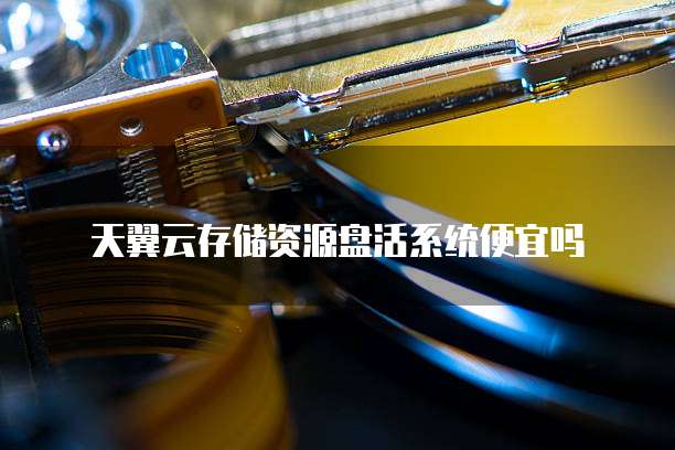 天翼云存储资源盘活系统便宜吗