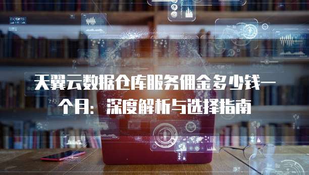 天翼云数据仓库服务佣金多少钱一个月:深度解析与选择指南