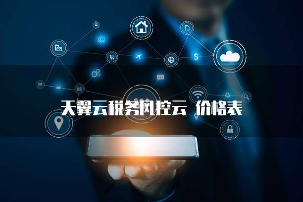天翼云税务风控云 价格表