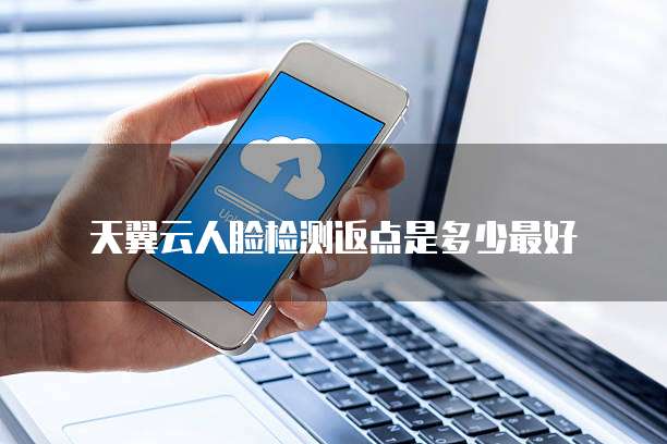 天翼云人脸检测返点是多少最好