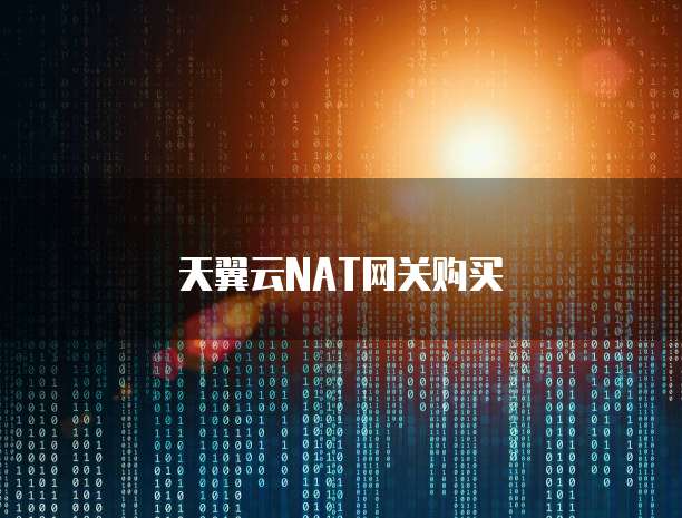 天翼云NAT网关购买