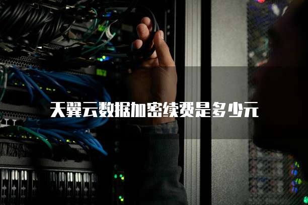 天翼云数据加密续费是多少元