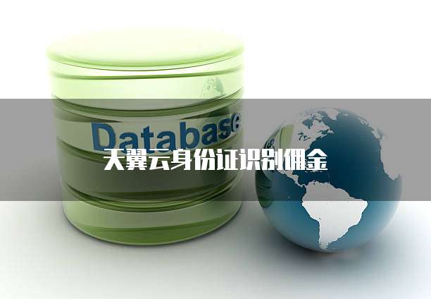 天翼云身份证识别佣金