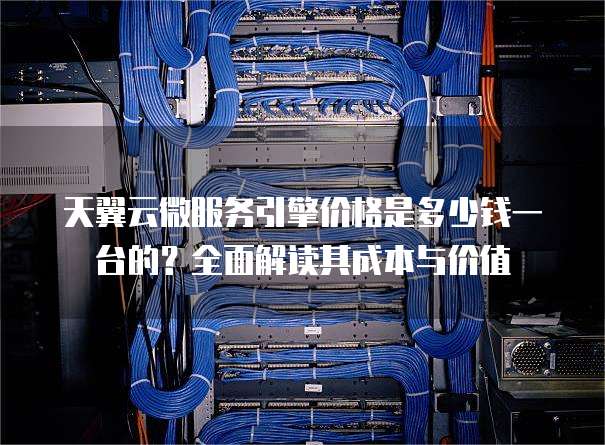 天翼云微服务引擎价格是多少钱一台的?全面解读其成本与价值