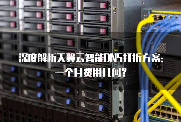 深度解析天翼云智能DNS打折方案:一个月费用几何?