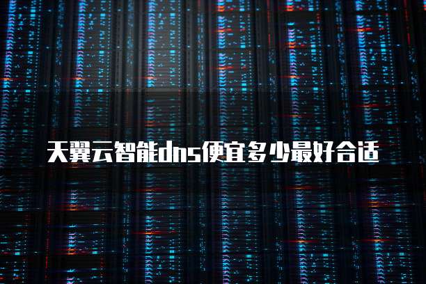天翼云智能dns便宜多少最好合适