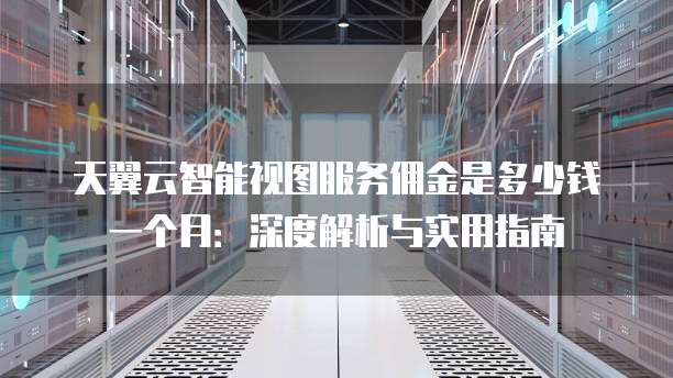 天翼云智能视图服务佣金是多少钱一个月:深度解析与实用指南