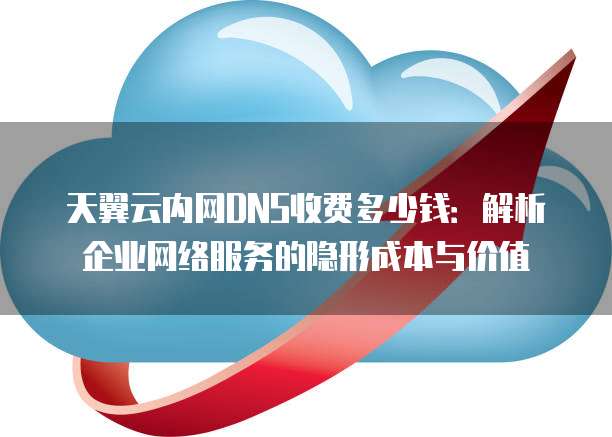 天翼云内网DNS收费多少钱:解析企业网络服务的隐形成本与价值