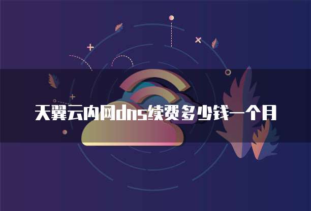 天翼云内网dns续费多少钱一个月