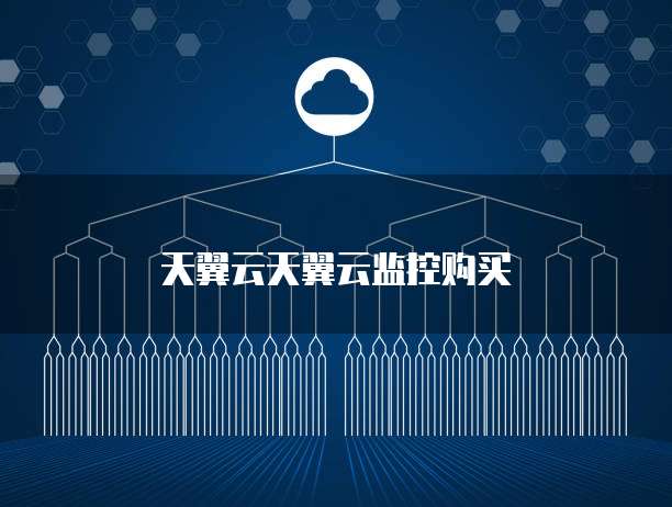 天翼云天翼云监控购买