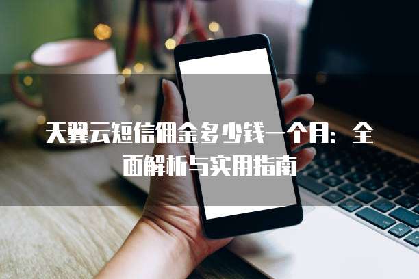 天翼云短信佣金多少钱一个月:全面解析与实用指南