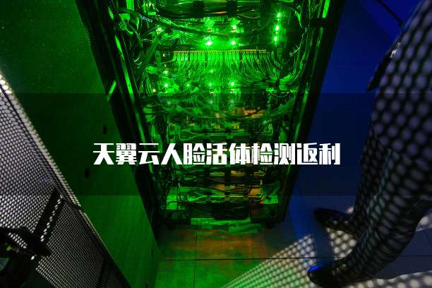 天翼云人脸活体检测返利