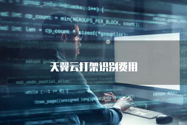 天翼云打架识别费用