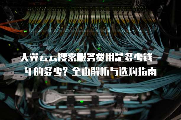 天翼云云搜索服务费用是多少钱一年的多少?全面解析与选购指南