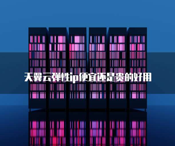 天翼云弹性ip便宜还是贵的好用