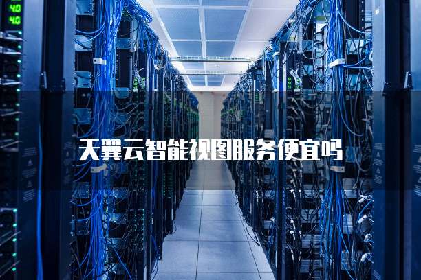 天翼云智能视图服务便宜吗