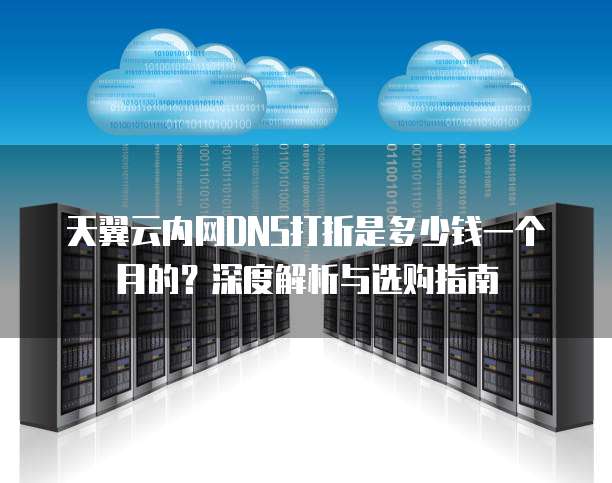 天翼云内网DNS打折是多少钱一个月的?深度解析与选购指南