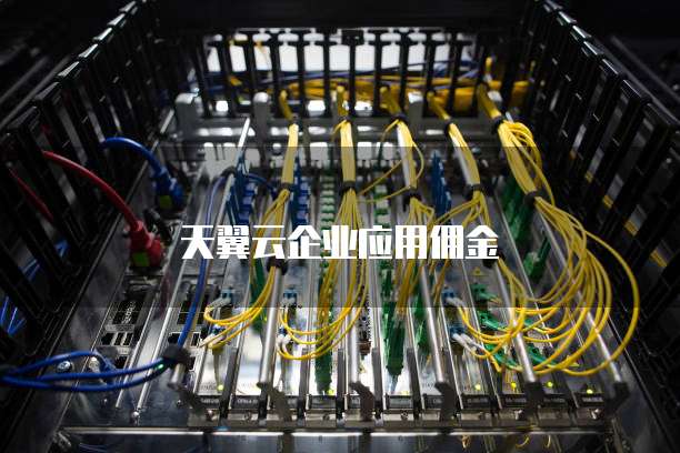 天翼云企业应用佣金